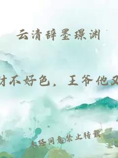 云清辞墨璟渊