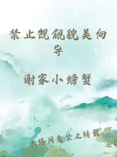 禁止觊觎貌美向导